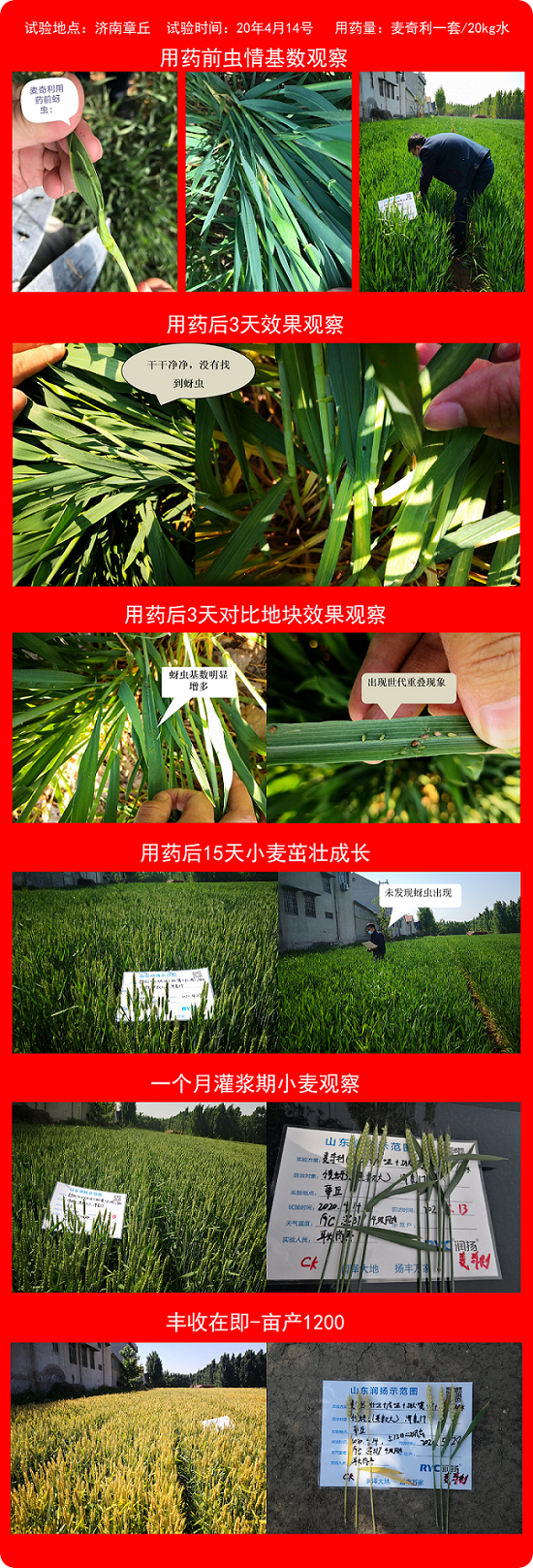 濟南實驗效果.png 濟南實驗效果.png