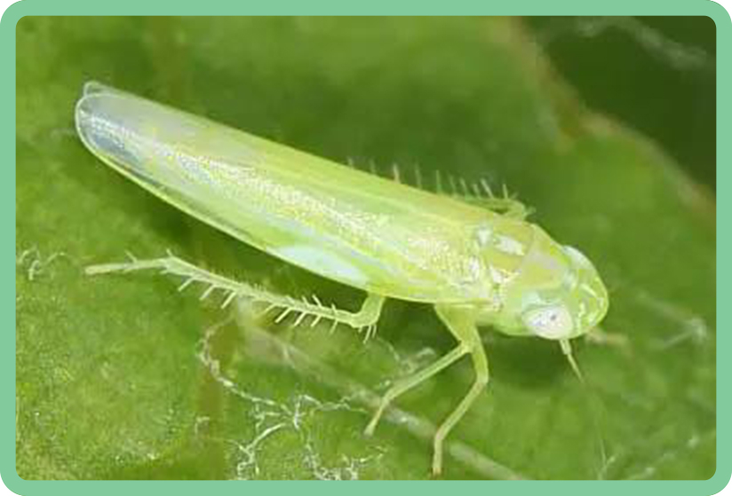 QW3T4Y.jpg QW3T4Y.jpg