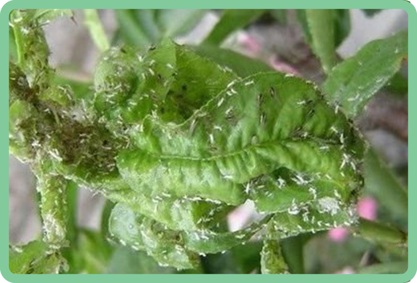 qqwtw3y4.jpg qqwtw3y4.jpg