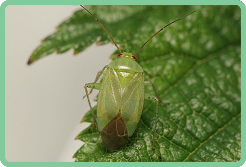 qweAWR.jpg qweAWR.jpg