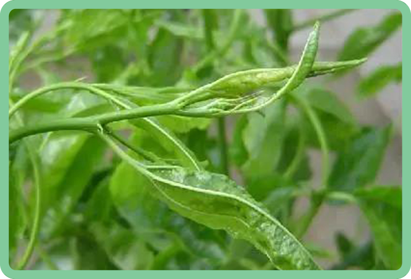 qw3t4yqwt3y4.jpg qw3t4yqwt3y4.jpg