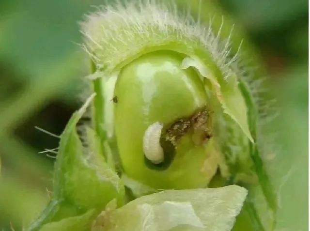 timg (8).jpg timg (8).jpg