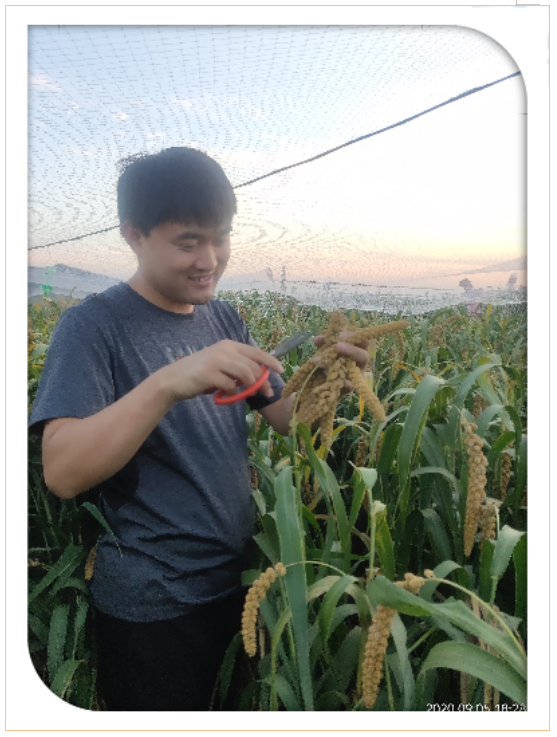 捕獲12.PNG 捕獲12.PNG