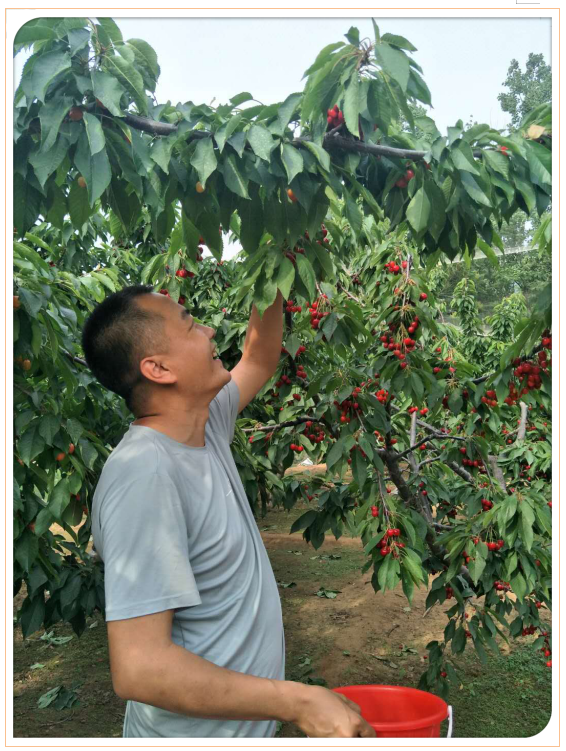 捕獲7.PNG 捕獲7.PNG