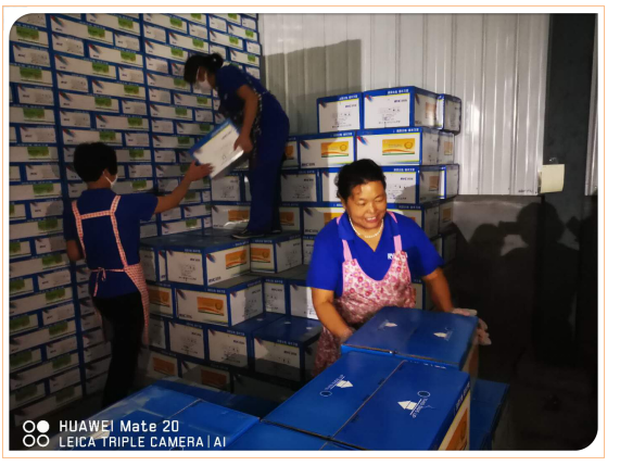 捕獲11.PNG 捕獲11.PNG