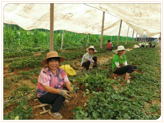 捕獲9.PNG 捕獲9.PNG