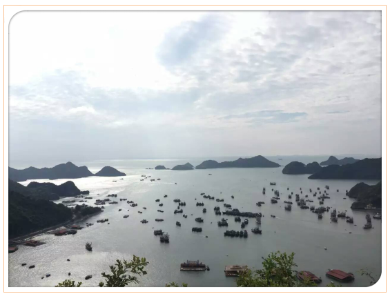 捕獲.PNG 捕獲.PNG