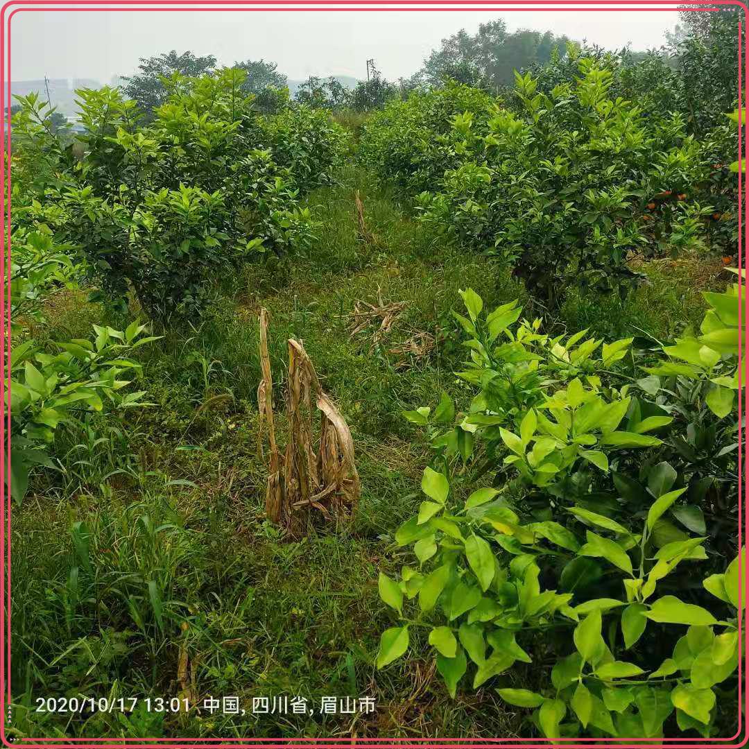 圖片4.jpg 圖片4.jpg