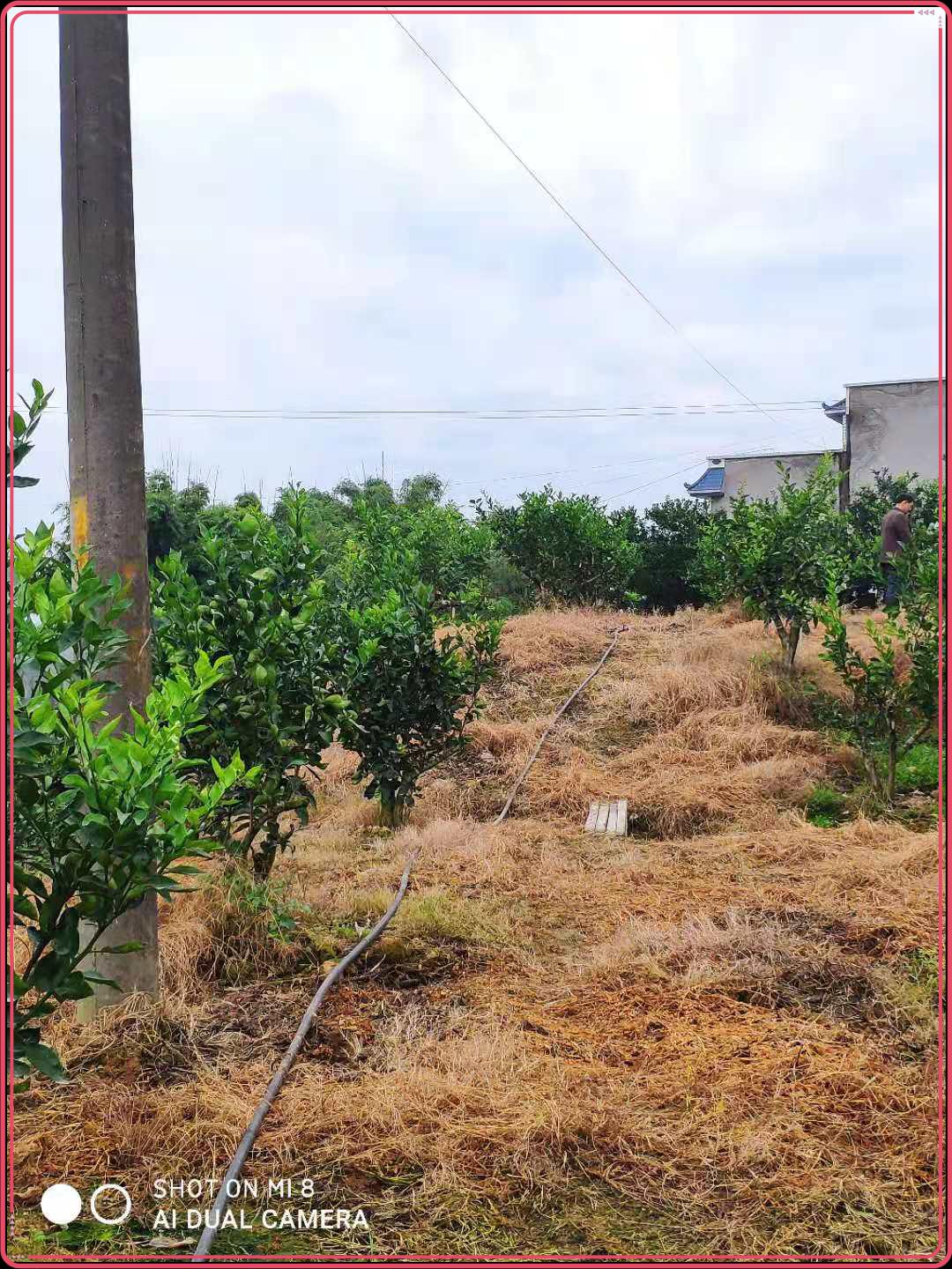 圖片3.jpg 圖片3.jpg