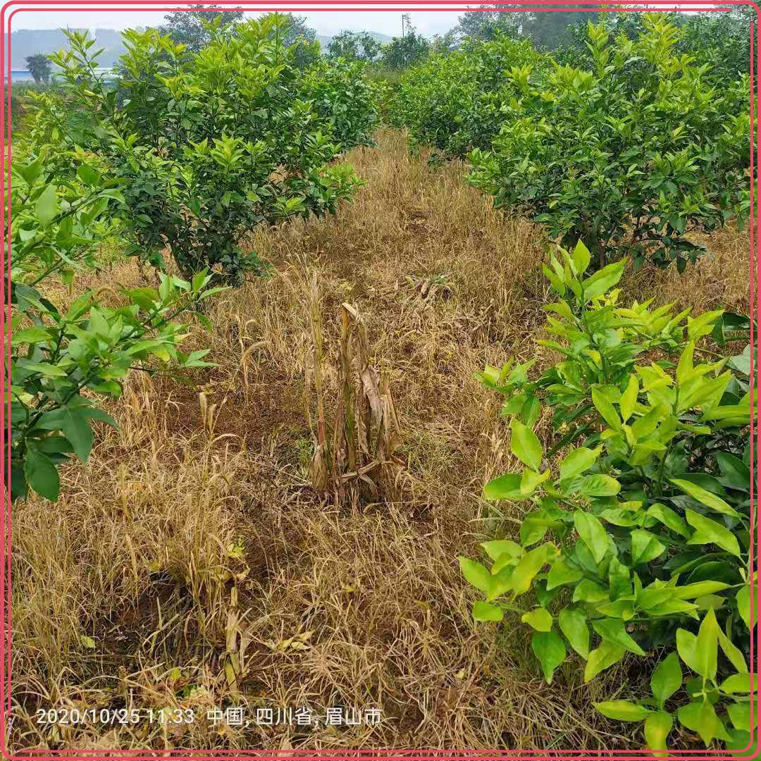 圖片5.jpg 圖片5.jpg