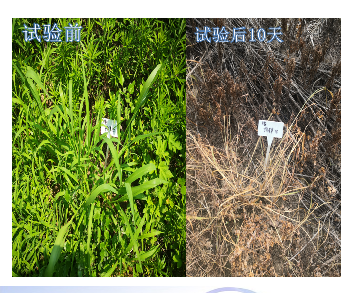 微信圖片_20210414090546.png 微信圖片_20210414090546.png