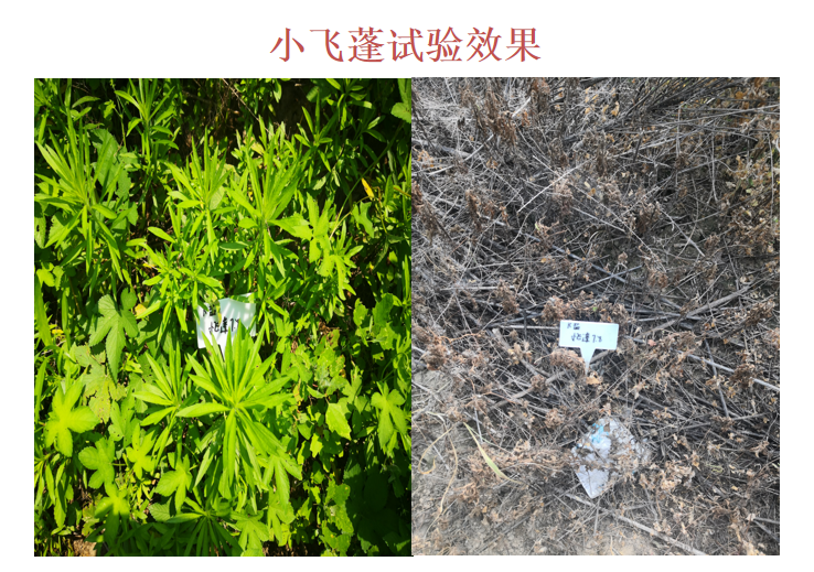 微信圖片_20210414090219.png 微信圖片_20210414090219.png