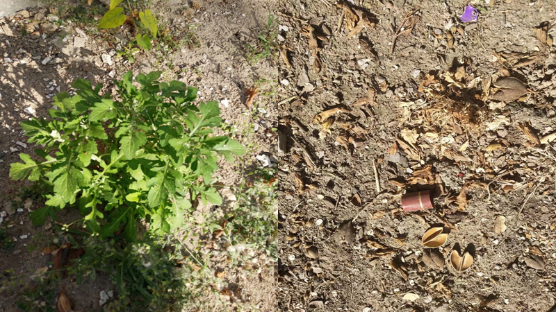 微信圖片_20210414102439.png 微信圖片_20210414102439.png