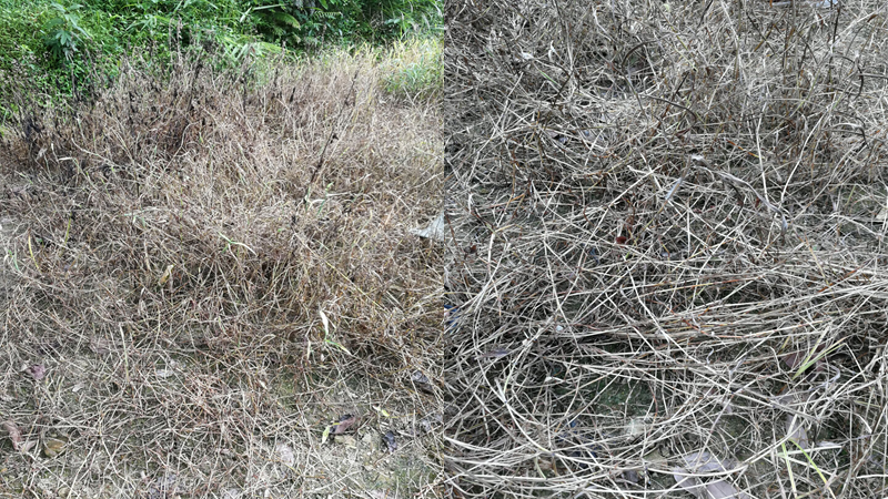 微信圖片_20210414102107.png 微信圖片_20210414102107.png