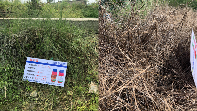 微信圖片_20210414102212.png 微信圖片_20210414102212.png