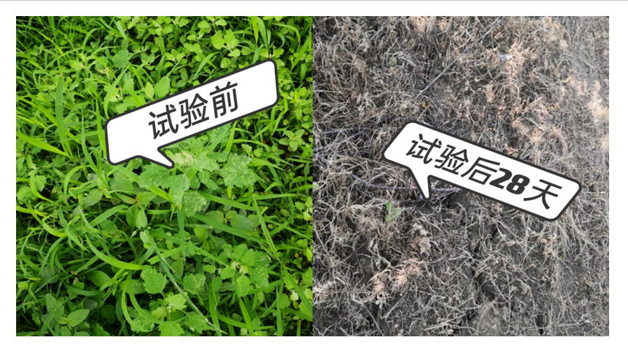 微信圖片_20210414090514.png 微信圖片_20210414090514.png