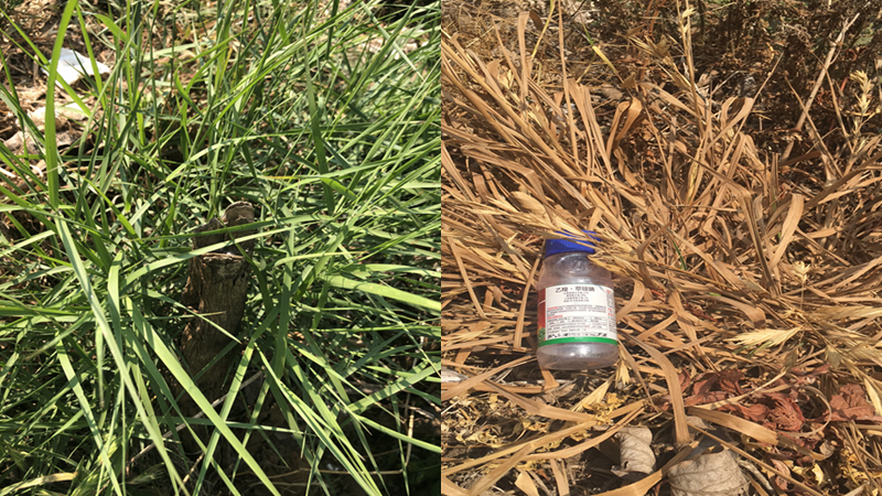 微信圖片_20210414101937.png 微信圖片_20210414101937.png