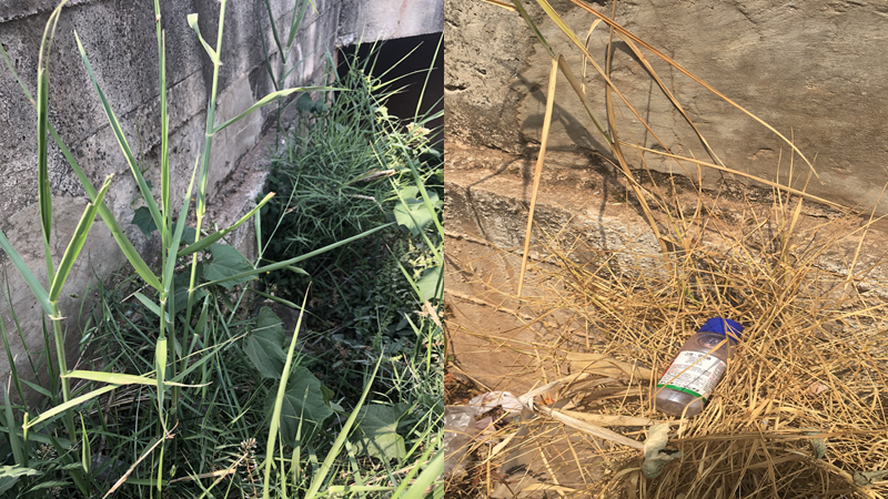 微信圖片_20210414101744.png 微信圖片_20210414101744.png