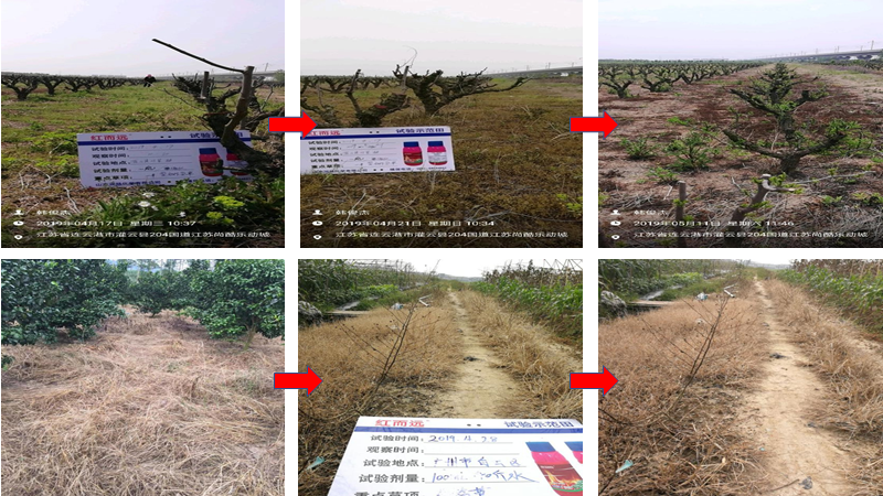 微信圖片_20210414101427.png 微信圖片_20210414101427.png