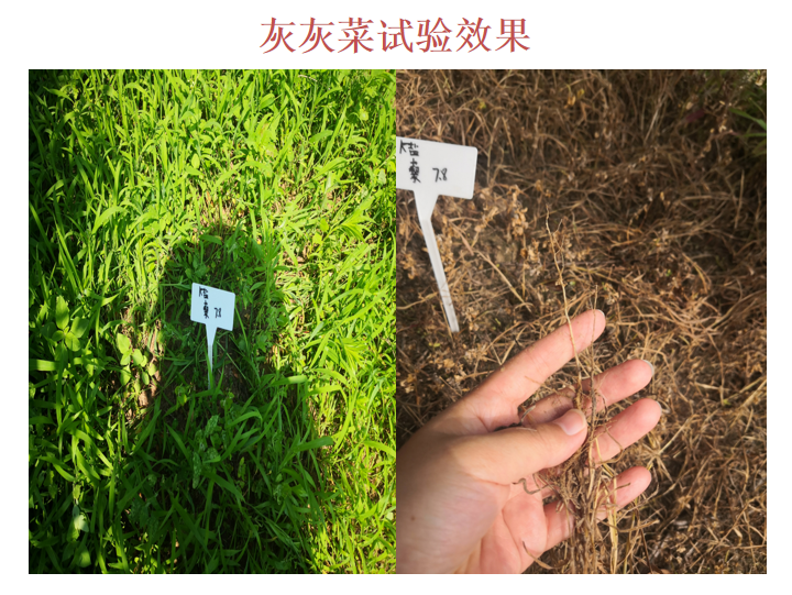 微信圖片_20210414090347.png 微信圖片_20210414090347.png