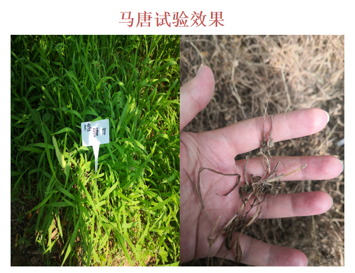 微信圖片_20210414090434.png 微信圖片_20210414090434.png