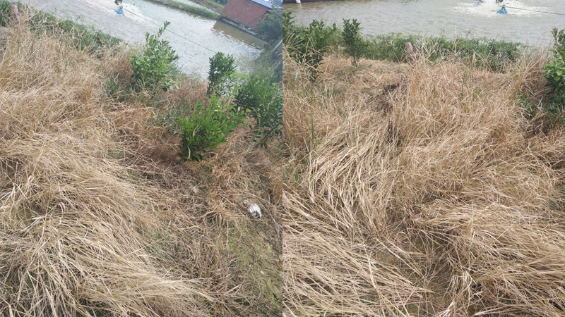 微信圖片_20210414103215.png 微信圖片_20210414103215.png