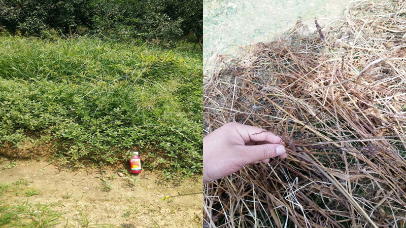 微信圖片_20210414103009.png 微信圖片_20210414103009.png