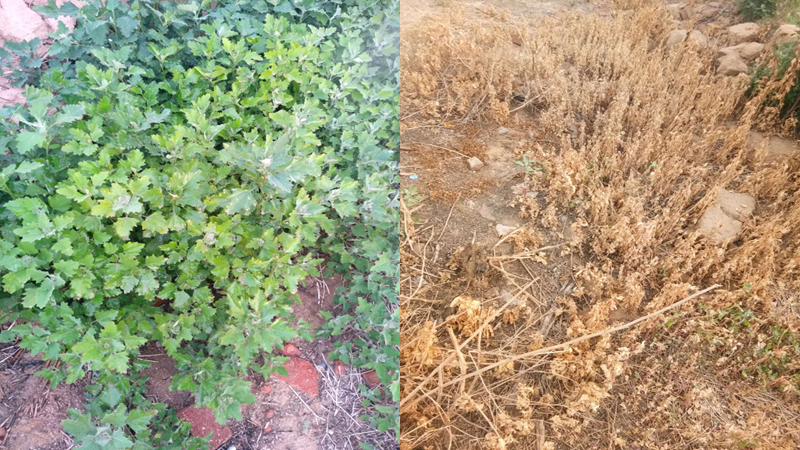 微信圖片_20210414102333.png 微信圖片_20210414102333.png