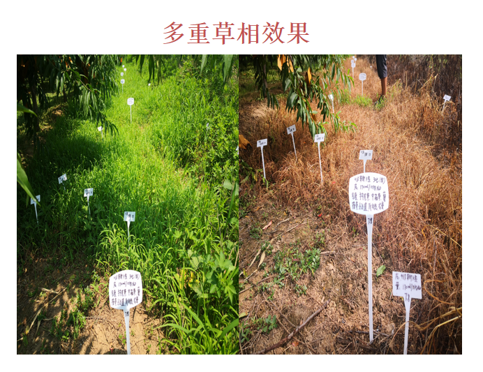 微信圖片_20210414090116.png 微信圖片_20210414090116.png