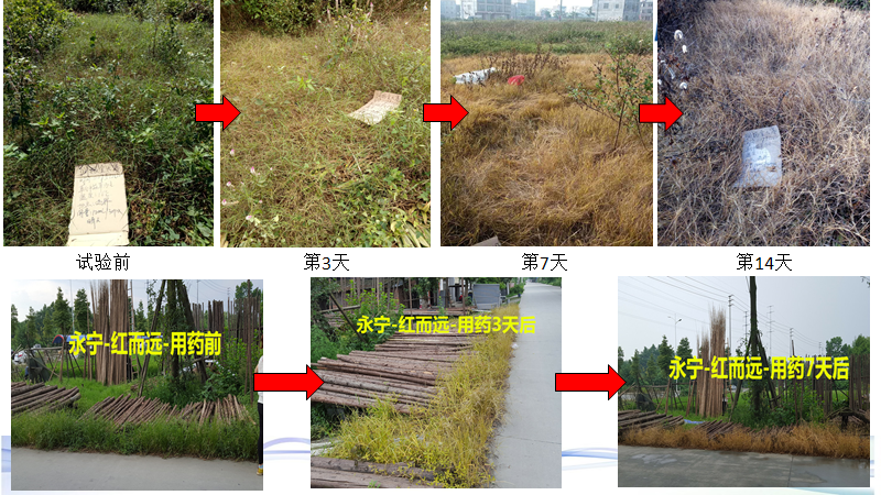 微信圖片_20210414101328.png 微信圖片_20210414101328.png