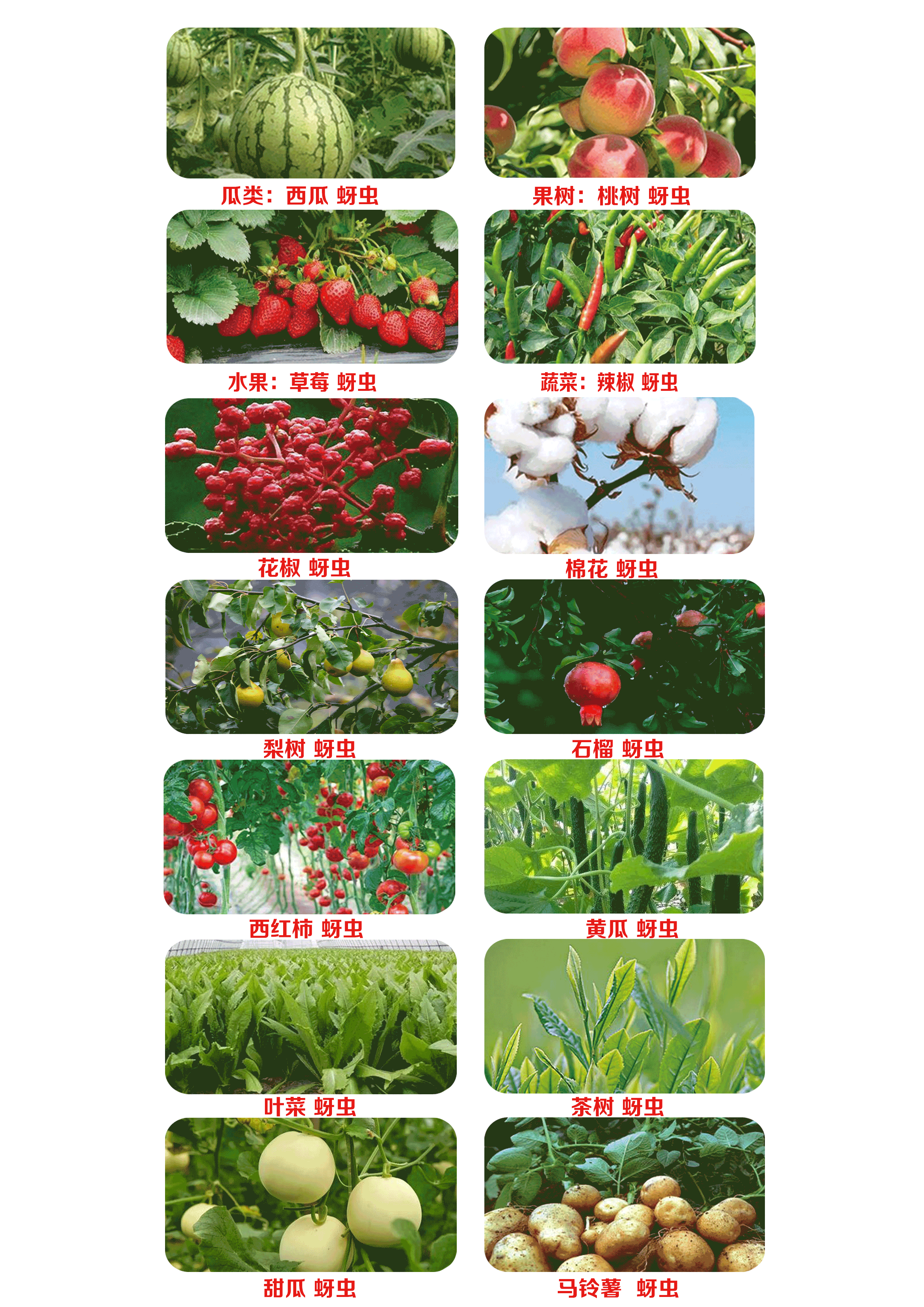 未標(biāo)題-1.gif 未標(biāo)題-1.gif