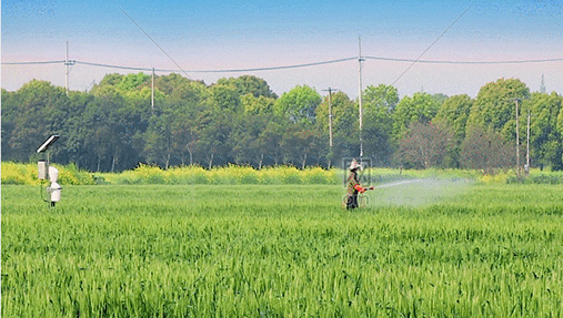 除草劑混用要注意什么？